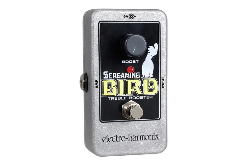 Screaming Bird