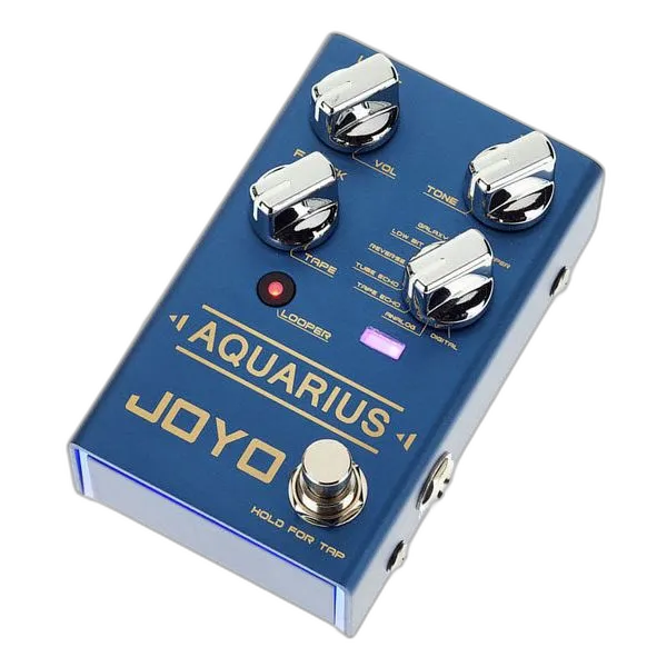 R-07 Aquarius Delay+Looper
