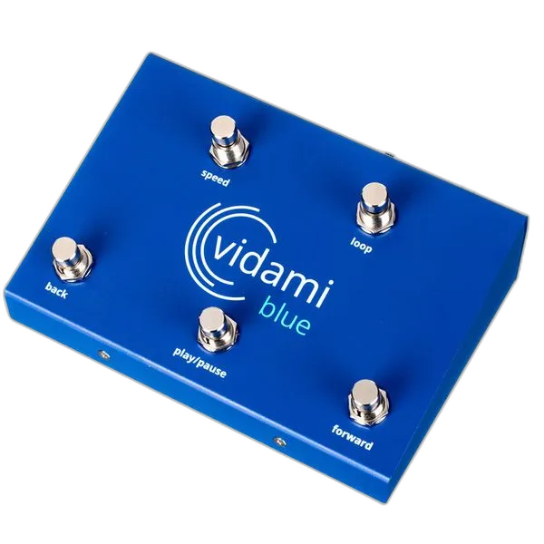 Blue 3 in 1 Video Controller
